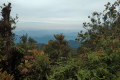 Gunung Bunga Buah - view from grassy area just before the summit (Dan Quinn, August 2024)