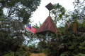 Gunung Bunga Buah - the beirut at the summit (Dan Quinn, August 2024)
