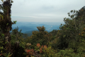 Gunung Bunga Buah - view from grassy area near the summit (Dan Quinn, August 2024)