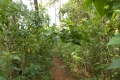 DSCN8976