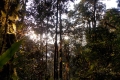 DSCN8985