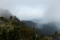 DSCN8996