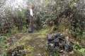 DSCN9026