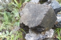 DSCN9027