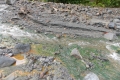 DSCN7374