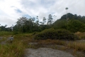 DSCN7401