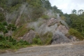 DSCN7424