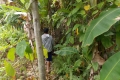 DSCN7475