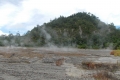DSCN7492