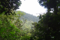 DSC04350