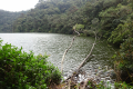 DSC04353