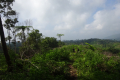 DSC04454