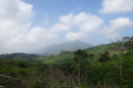DSC04456