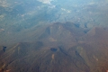 daun1