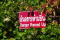 Doi-Inthanon-Amusing-sign-at-the-Royal-Pagodas-Dan-Quinn-December-2019