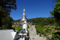 Doi-Inthanon-The-Royal-Pagodas-Dan-Quinn-December-2019