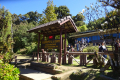 Doi-Inthanon-near-the-summit-Dan-Quinn-December-2019