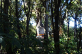 Doi-Inthanon-the-stupa-of-King-Inthawichayanon-in-the-forest-Dan-Quinn-December-2019-3