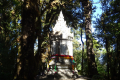 Doi-Inthanon-the-stupa-of-King-Inthawichayanon-in-the-forest-Dan-Quinn-December-2019-4