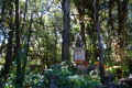 Doi-Inthanon-the-stupa-of-King-Inthawichayanon-in-the-forest-Dan-Quinn-December-2019