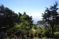 Doi-Inthanon-view-from-the-Royal-Pagodas-Dan-Quinn-December-2019-4
