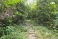 DSCN2832