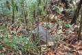 DSCN2845