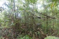 DSCN2855