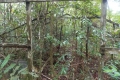 DSCN2857