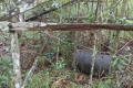 DSCN2863