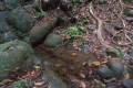 DSCN2889