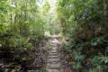 DSCN2908
