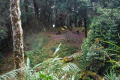 13-Camp4-Pos-8-Pos-9-camp-5-at-the-summit-Eduard-Gonzalez-september-2025-10