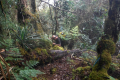 13-Camp4-Pos-8-Pos-9-camp-5-at-the-summit-Eduard-Gonzalez-september-2025-11