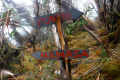 13-Camp4-Pos-8-Pos-9-camp-5-at-the-summit-Eduard-Gonzalez-september-2025-18