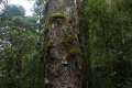 13-Camp4-Pos-8-Pos-9-camp-5-at-the-summit-Eduard-Gonzalez-september-2025-6