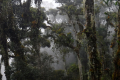 13-Camp4-Pos-8-Pos-9-camp-5-at-the-summit-Eduard-Gonzalez-september-2025-9