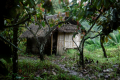 14-Down-to-pos-7-camp-6-and-Desa-Paku-Eduard-Gonzalez-september-2025-14