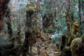 14-Down-to-pos-7-camp-6-and-Desa-Paku-Eduard-Gonzalez-september-2025-3