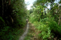 16-Along-the-Tabulahan-valley-down-to-the-main-road-Eduard-Gonzalez-september-2025-4