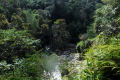 3-Crossing-a-river-before-Pos-1-Eduard-Gonzalez-september-2025-1