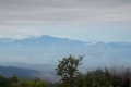 DSCN6532