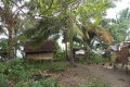 DSCN7970
