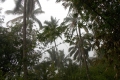 DSCN7979