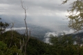 DSCN7993