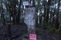 DSCN8024
