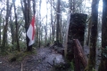 DSCN8043