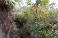 DSCN8158