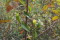 DSCN8159