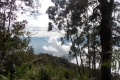 DSCN8177
